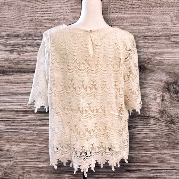 Adiva Scalloped Lace Top Short Sleeve in Ivory 1X - Picture 2 of 8